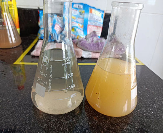 化工污水處理氣浮機(jī)實(shí)際案例-浙江新和成股份有限公司