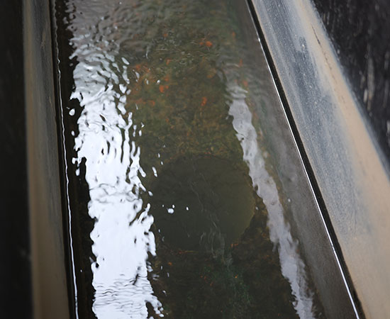 氣浮機除磷效果好嗎？